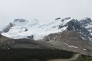 07 - Columbia Icefield - IMG_0985